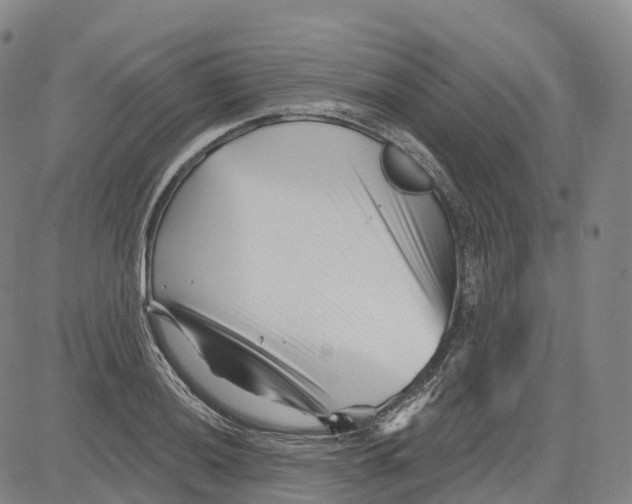 X0000081421036200702021622