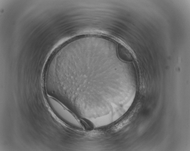 X0000081421037200702021622