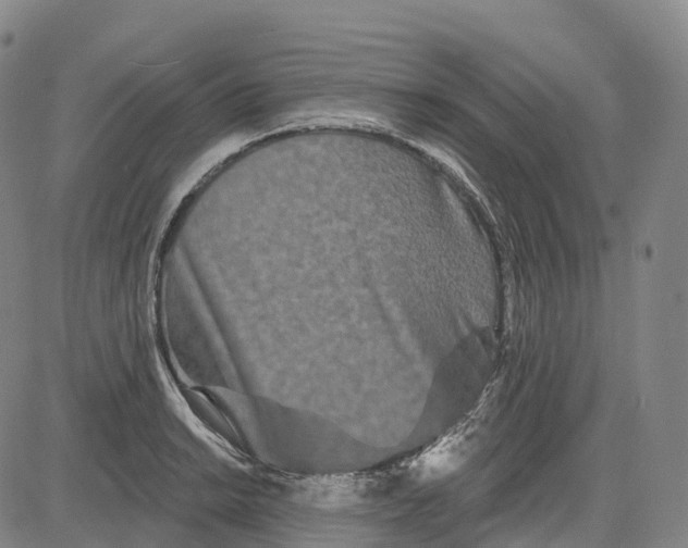 X0000081421038200702021622