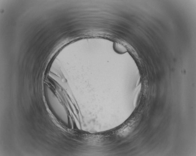 X0000081421039200702021622