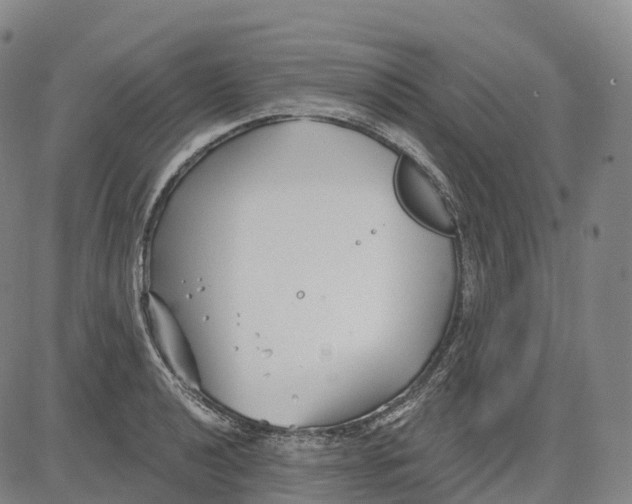 X0000081421040200702021622