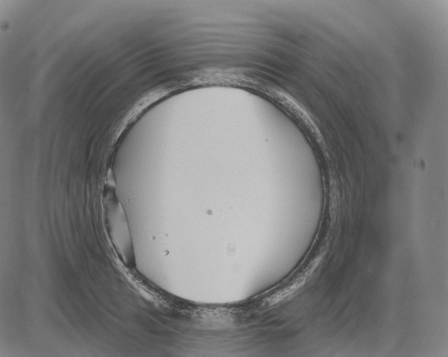 X0000081421041200702021622