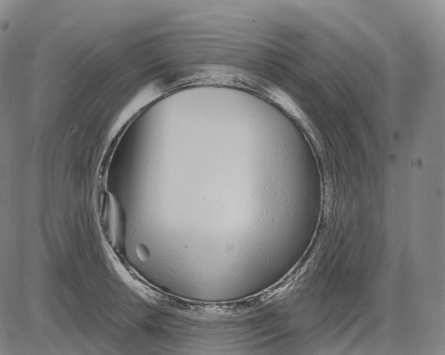 X0000081421042200702021622