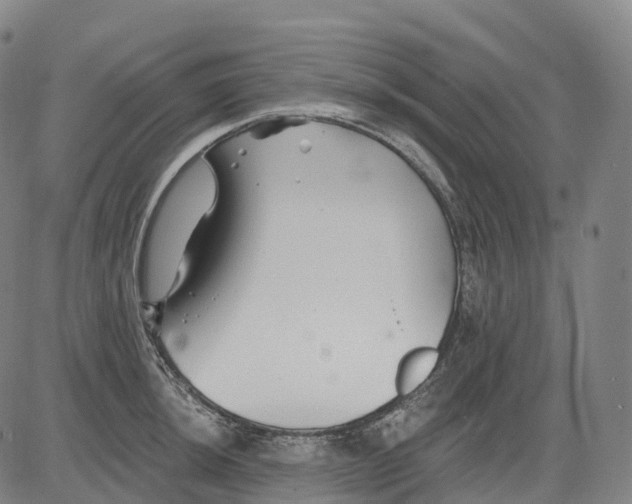 X0000081421044200702021622