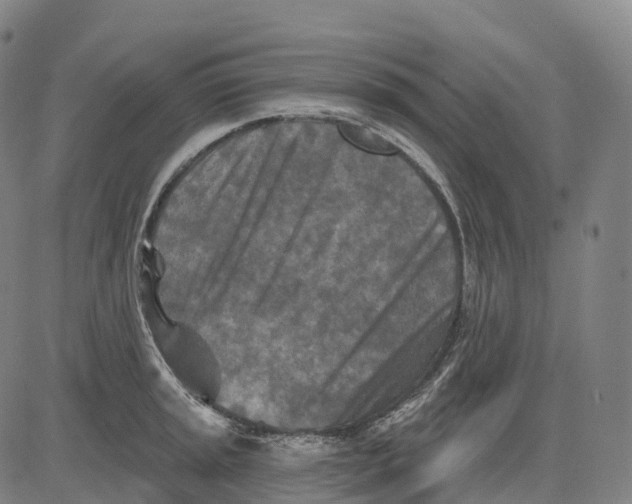 X0000081421045200702021622