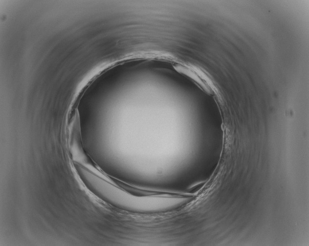 X0000081421046200702021622