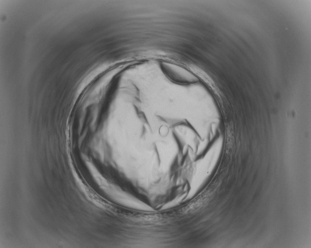 X0000081421047200702021622