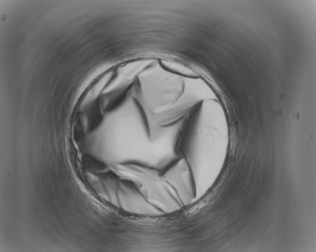 X0000081421048200702021622