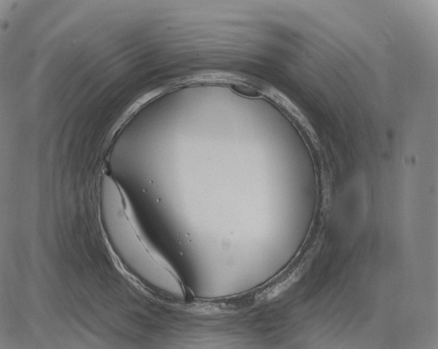 X0000081421049200702021622