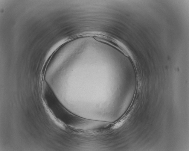 X0000081421050200702021622