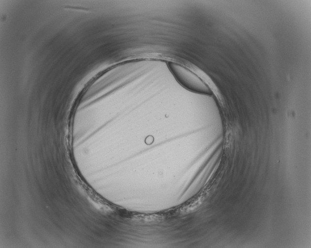 X0000081421051200702021622