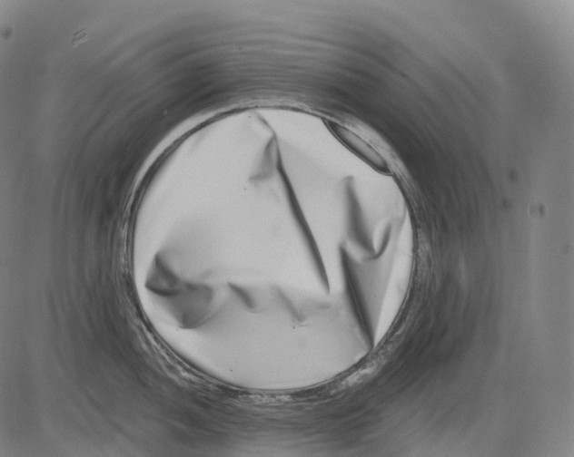 X0000081421052200702021622