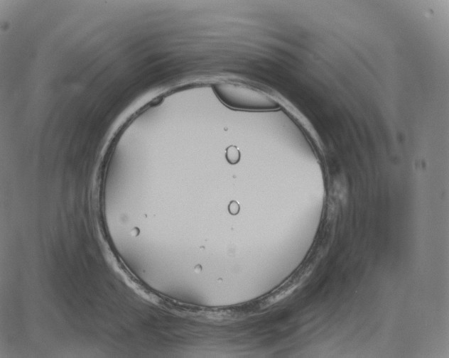 X0000081421053200702021622