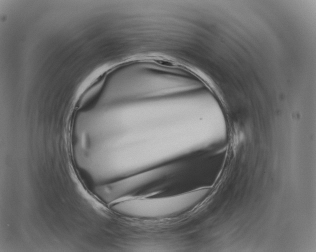 X0000081421054200702021622