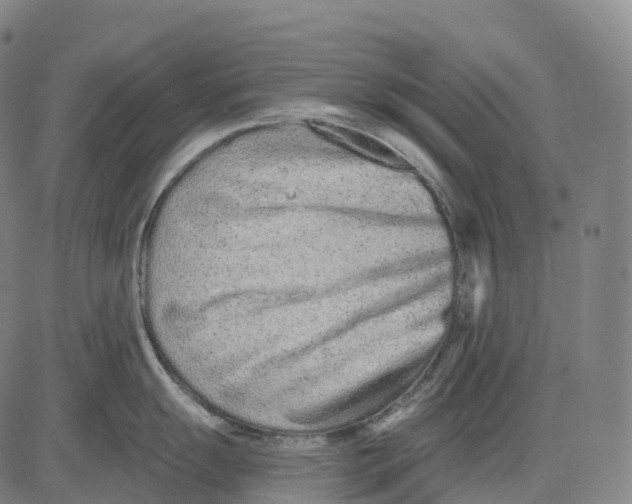 X0000081421055200702021623