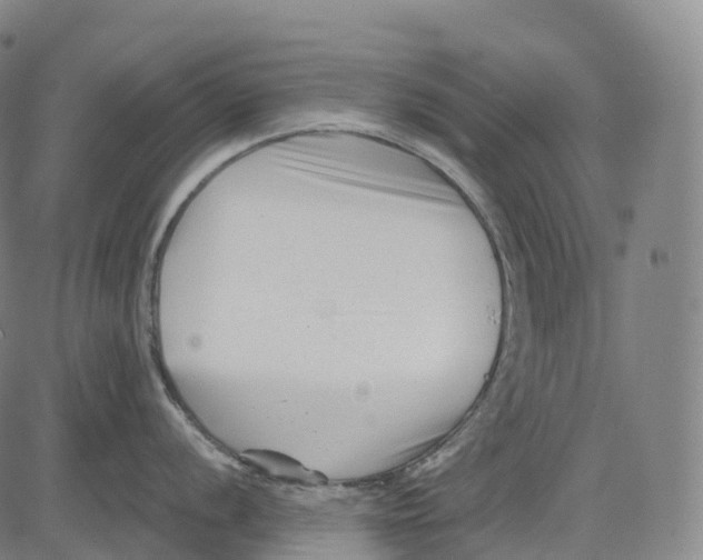 X0000081421056200702021623