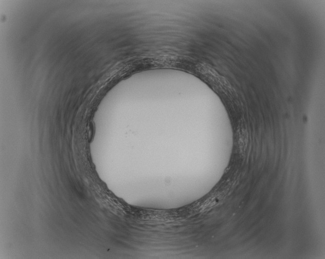 X0000081421057200702021622