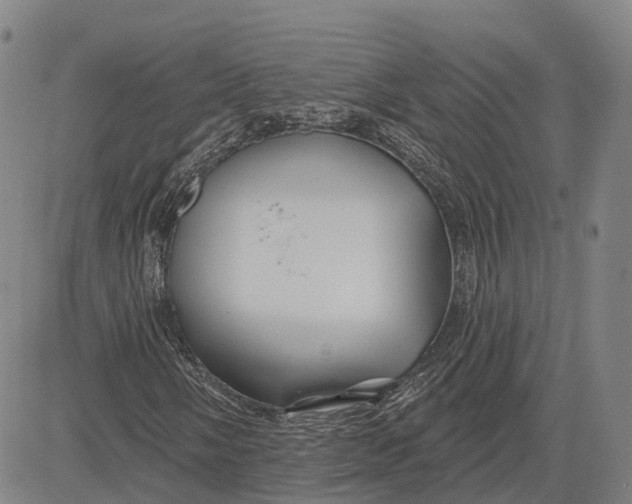 X0000081421058200702021622