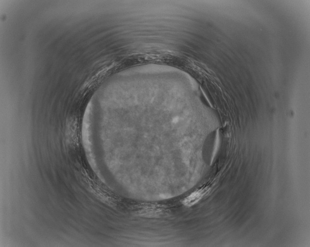 X0000081421060200702021622