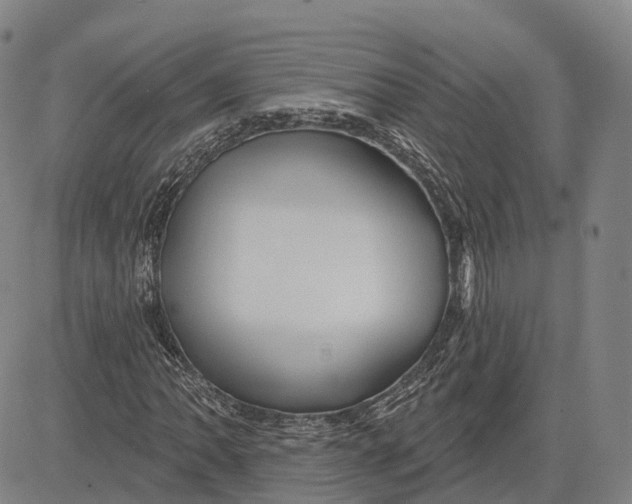 X0000081421062200702021622