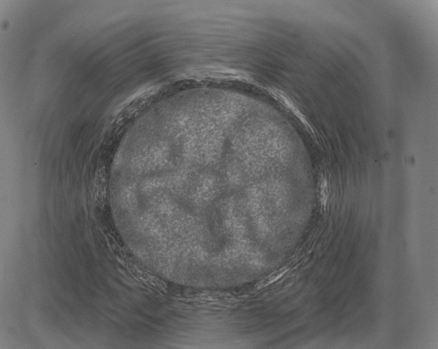 X0000081421063200702021622