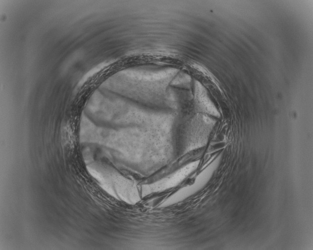 X0000081421064200702021622