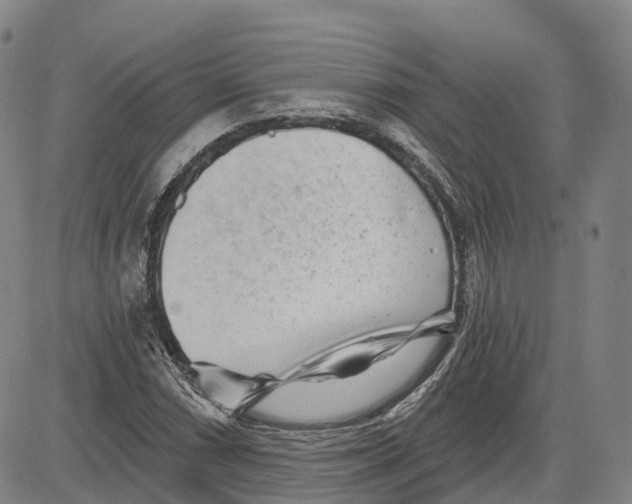 X0000081421066200702021622