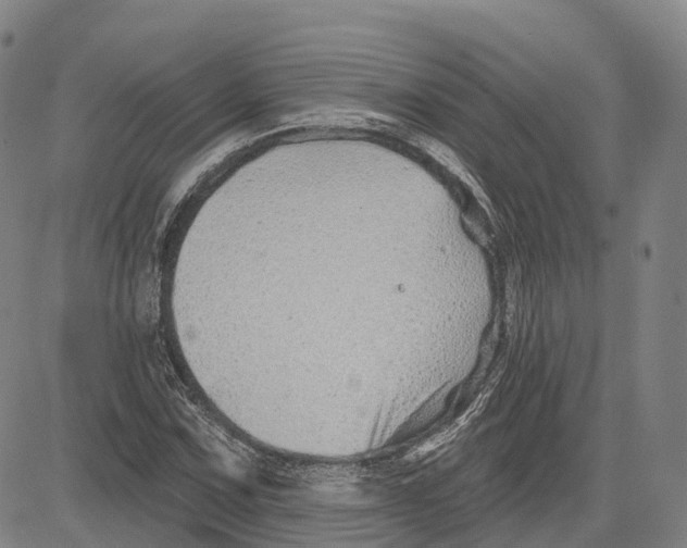 X0000081421067200702021622