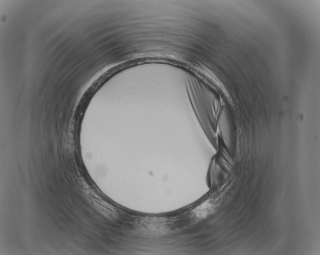 X0000081421068200702021622