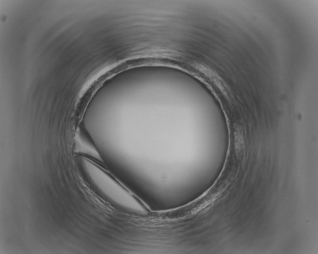 X0000081421069200702021622