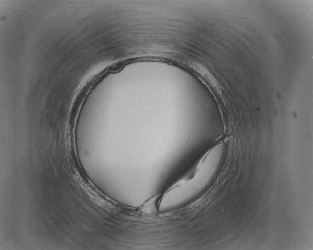 X0000081421072200702021622