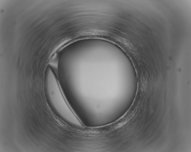 X0000081421073200702021621