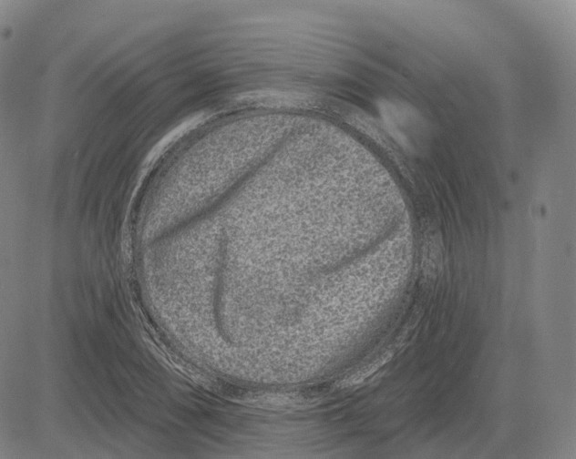 X0000081421074200702021621