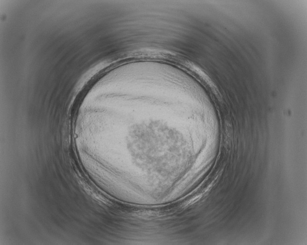 X0000081421075200702021621