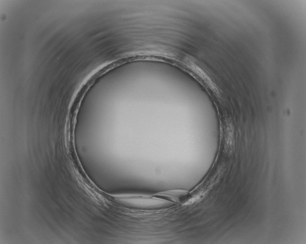 X0000081421076200702021621