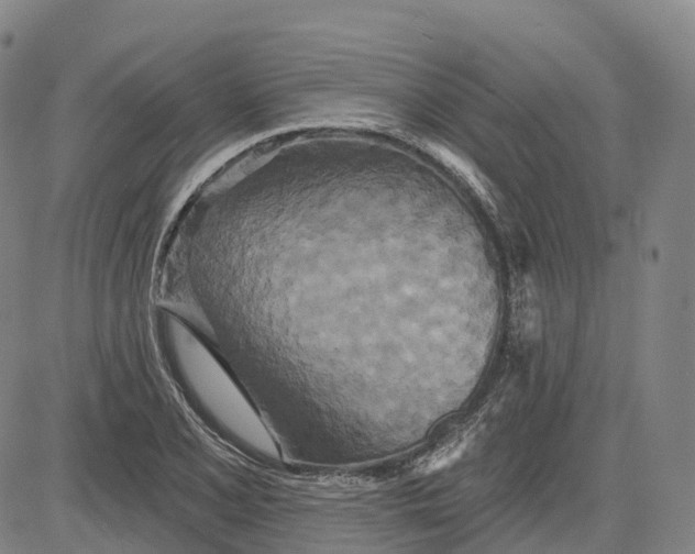 X0000081421077200702021621