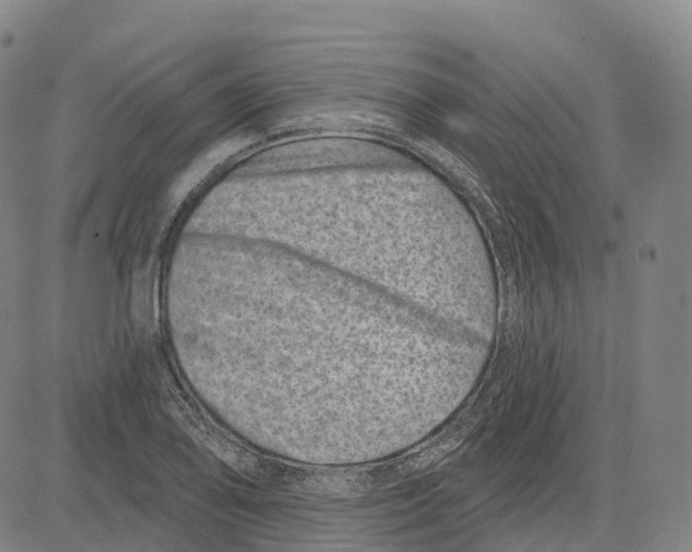 X0000081421078200702021621