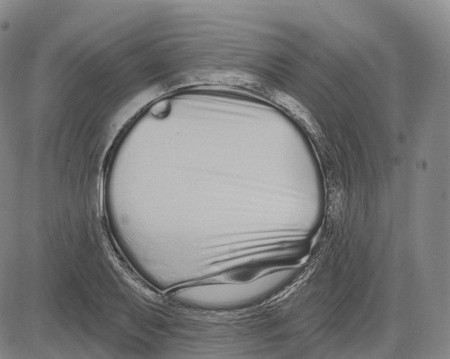 X0000081421079200702021621