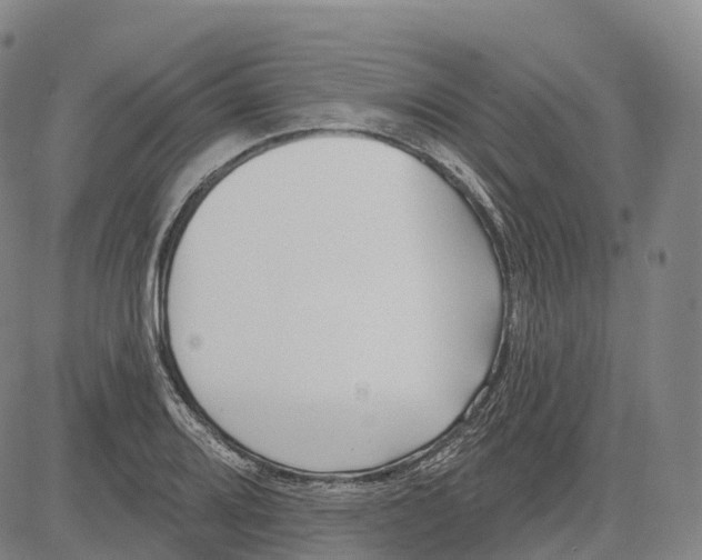 X0000081421080200702021621