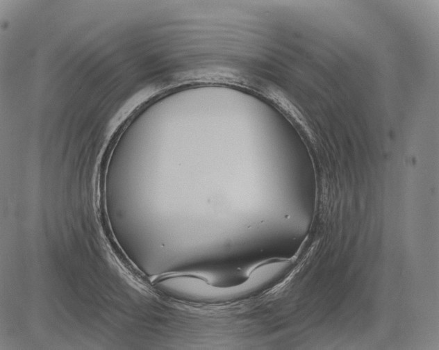 X0000081421082200702021621