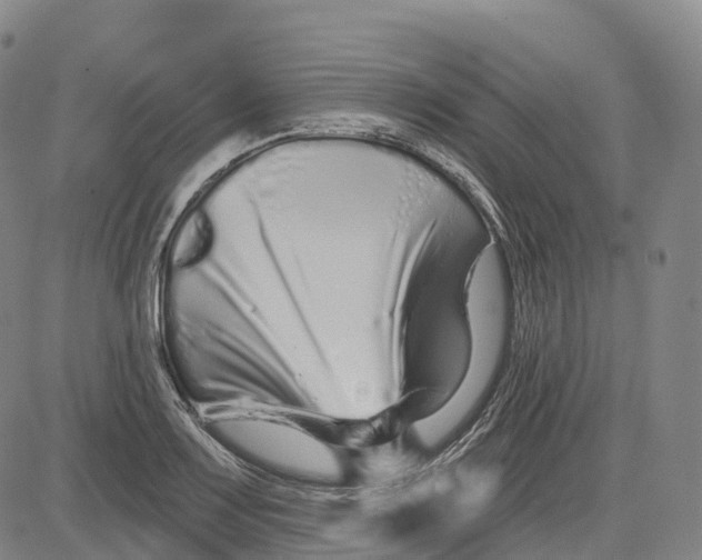 X0000081421083200702021621