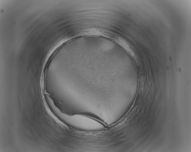 X0000081421084200702021621