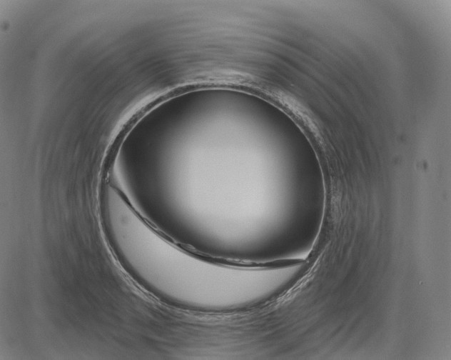 X0000081421085200702021621