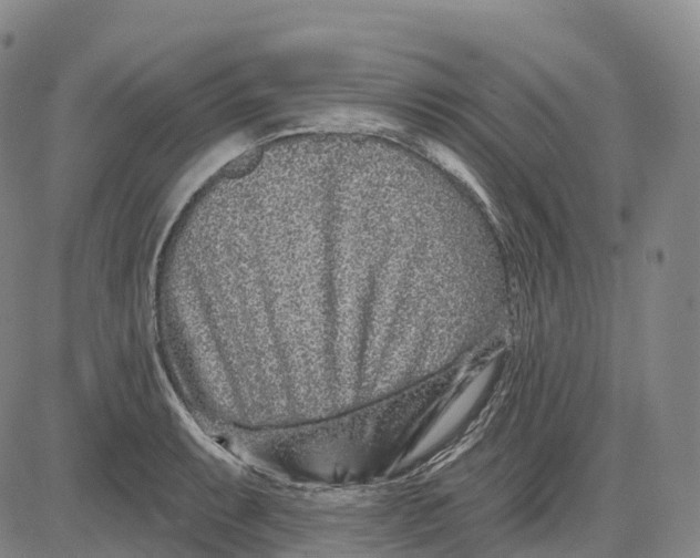 X0000081421087200702021621