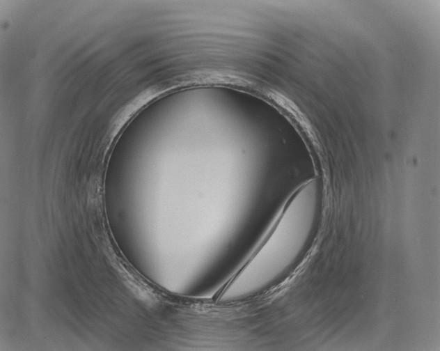 X0000081421089200702021621