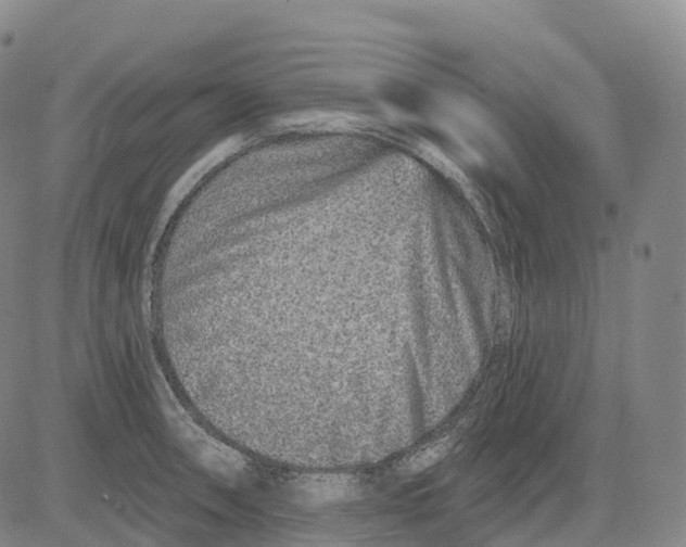 X0000081421090200702021621