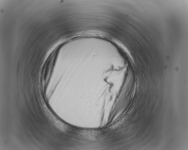 X0000081421091200702021621