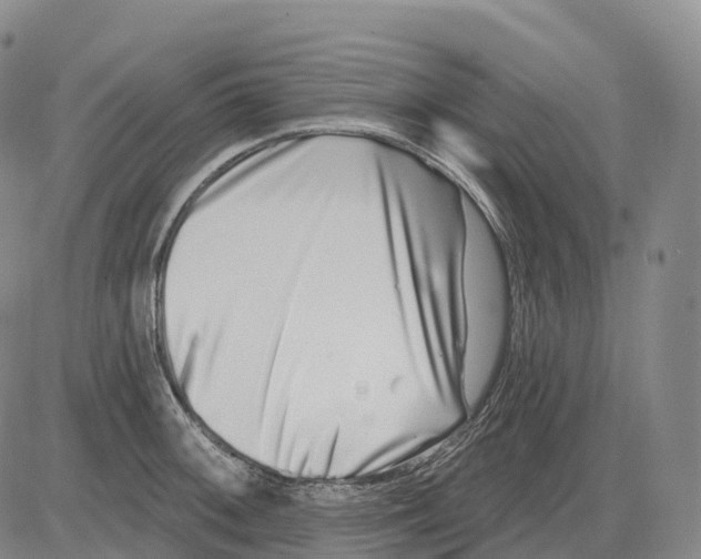 X0000081421092200702021621