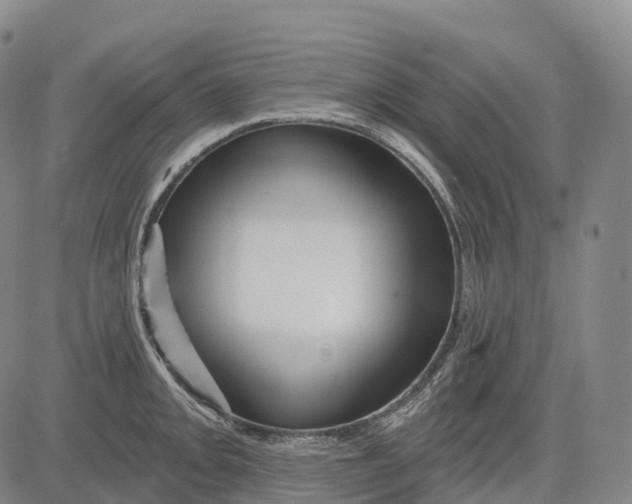 X0000081421093200702021621