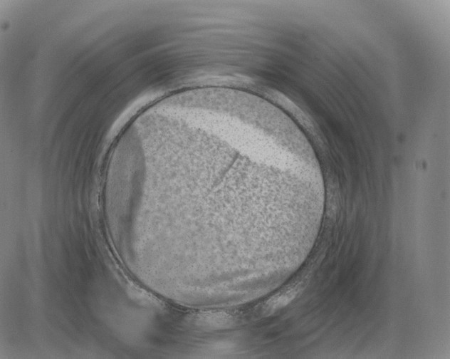 X0000081421094200702021621